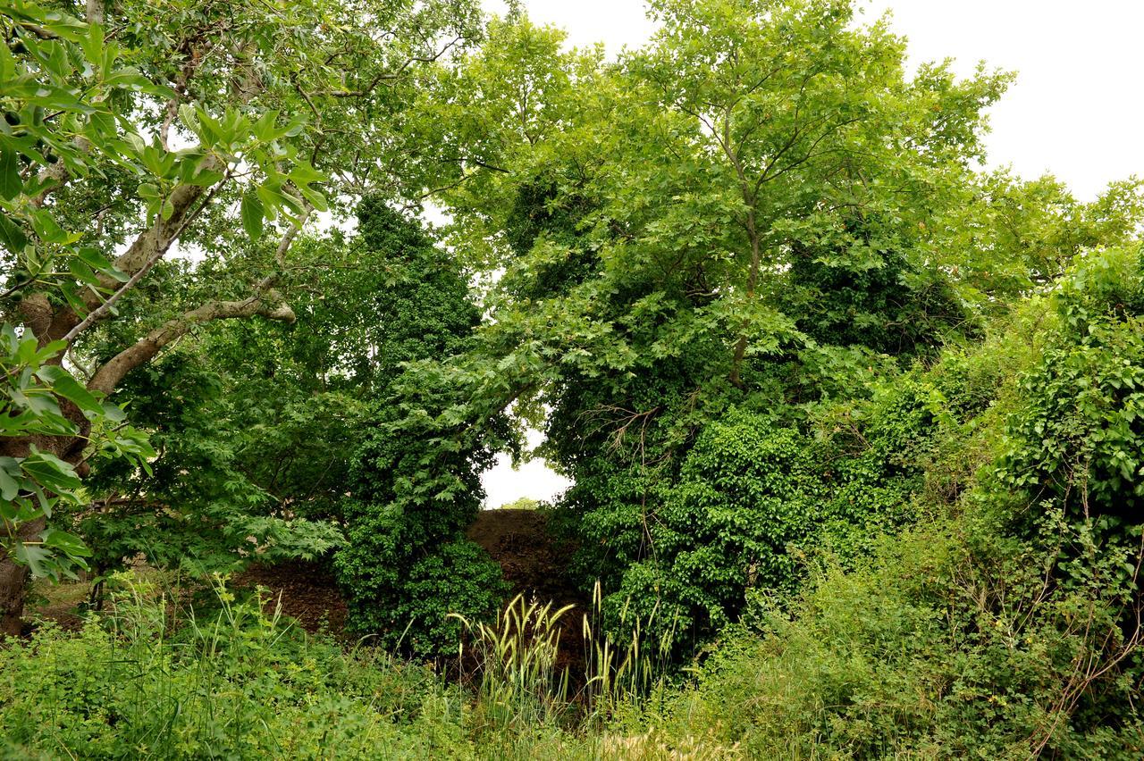 Villa Axenti Agios Thomas  Exteriér fotografie